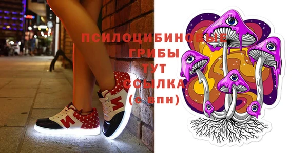 прущий лед Аркадак