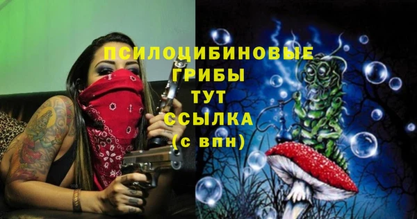 spice Арсеньев